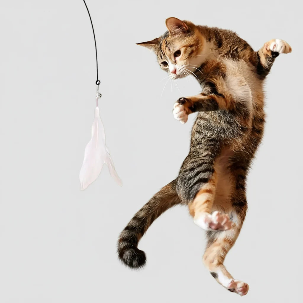 Feather Wand Cat Teaser